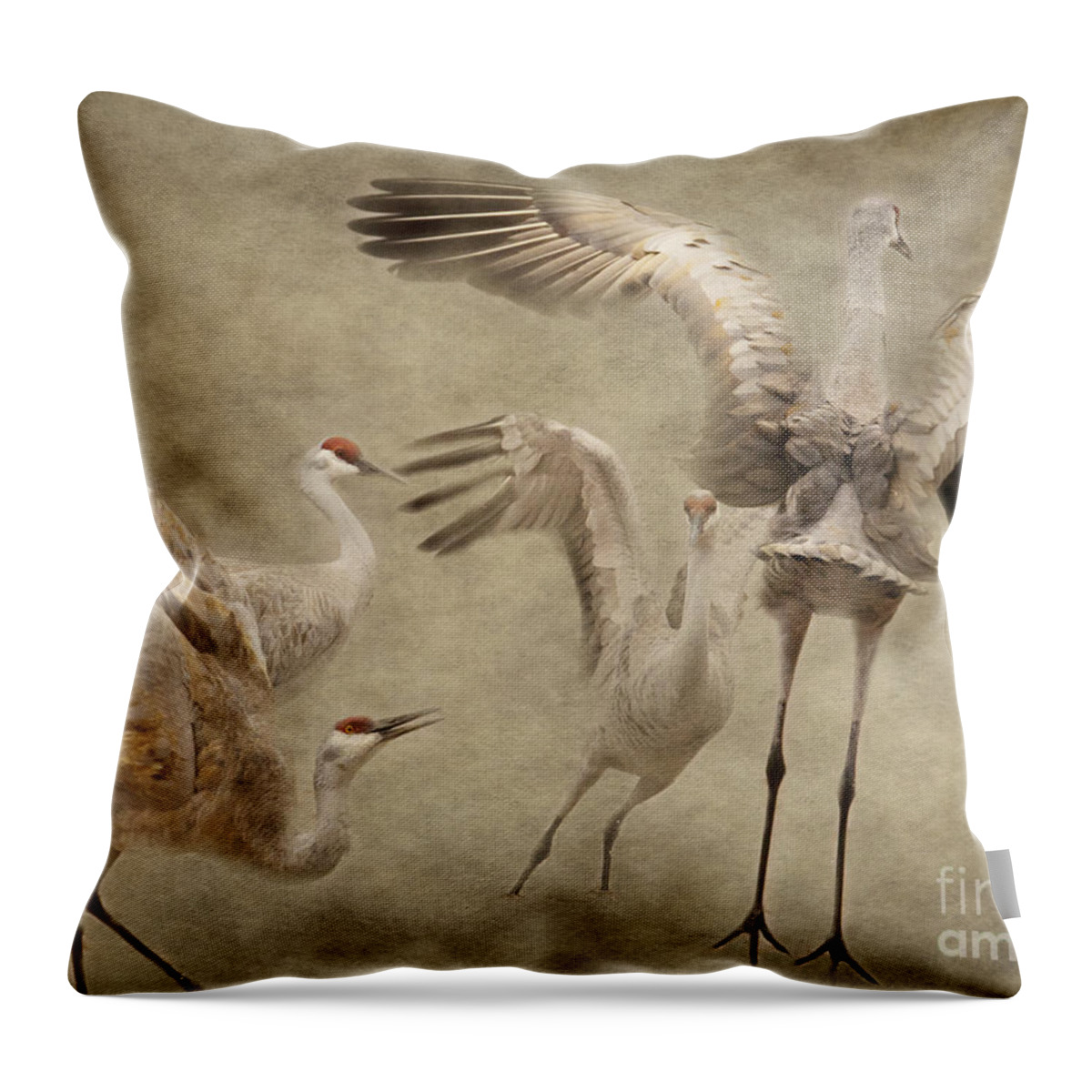 Sandhill Crane Throw Pillow featuring the photograph Dance of the Sandhill Crane by Pam Holdsworth