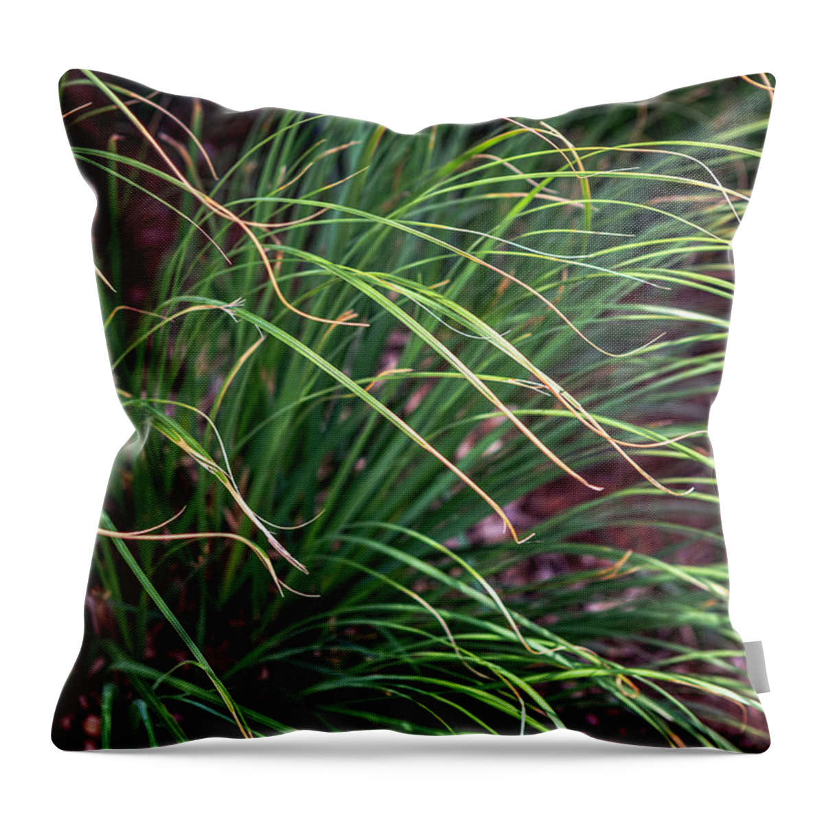 Grass Throw Pillow featuring the photograph Dancing in the Wind by Sennie Pierson