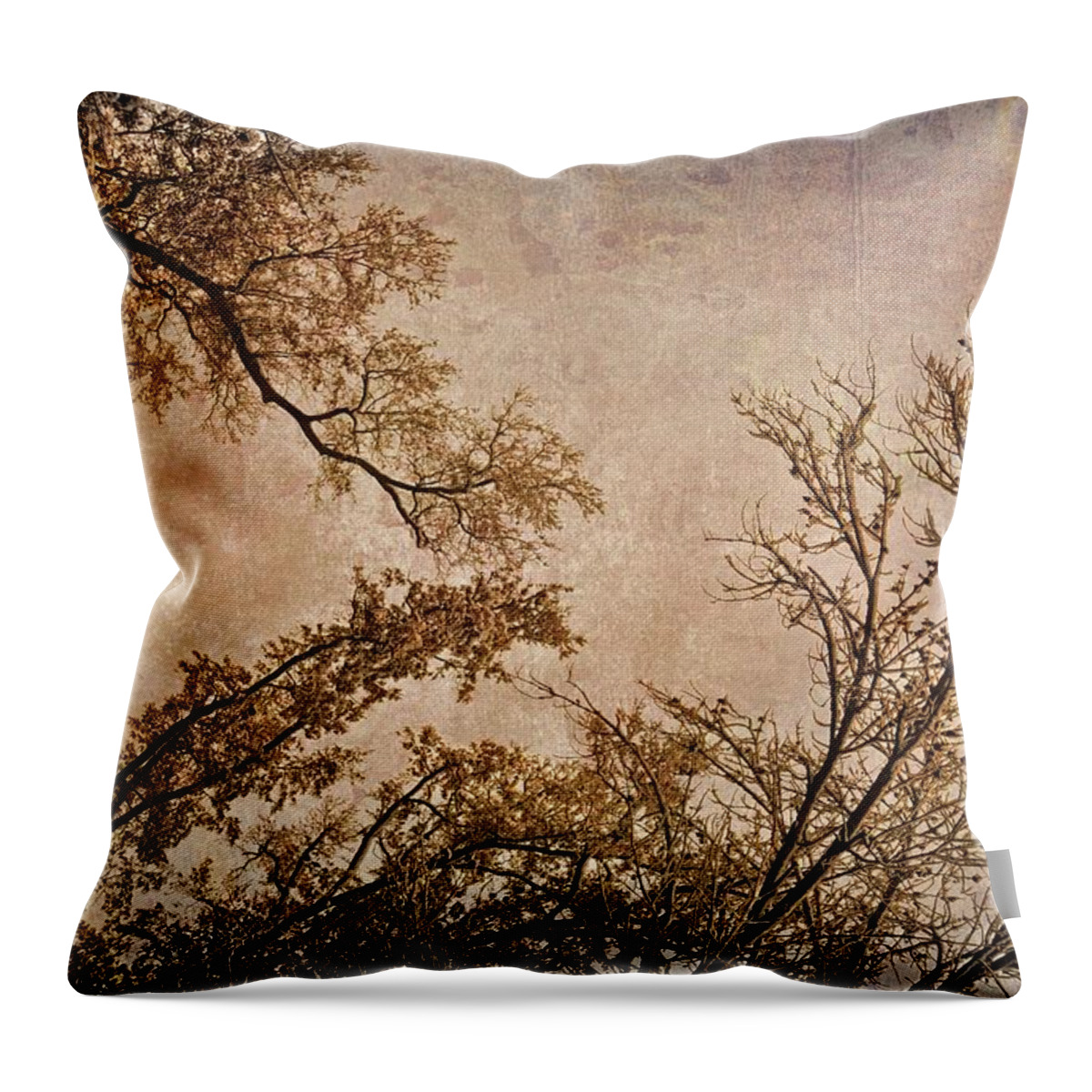 Landscape Throw Pillow featuring the photograph Dancing Trees by Carol Whaley Addassi