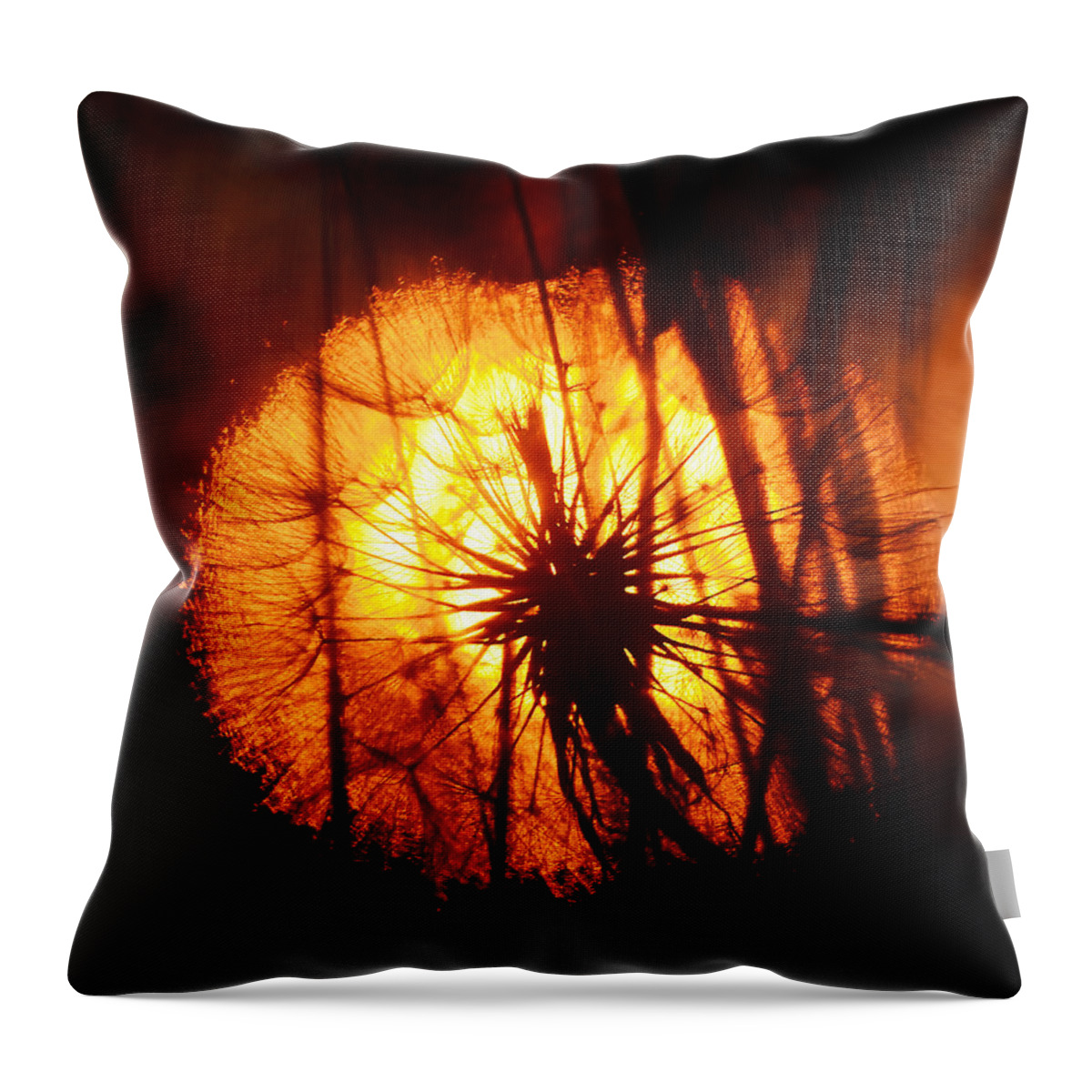 Wild Throw Pillow featuring the photograph Dandelion at Sunset by Steve Somerville