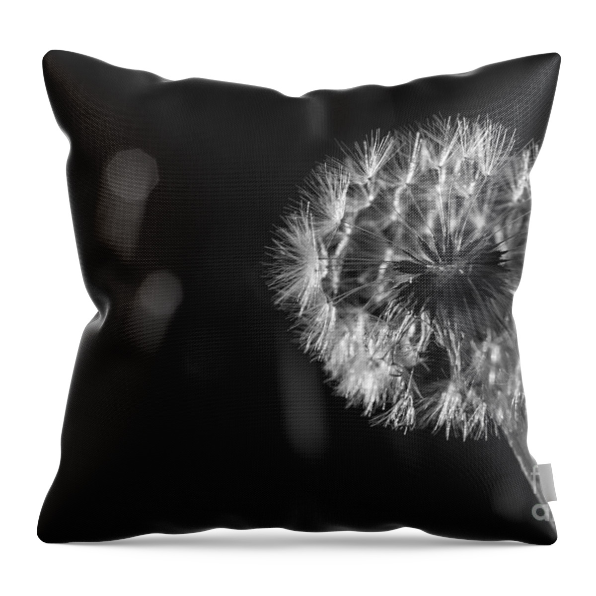 Dandelion Throw Pillow featuring the photograph Dandelion in black and white by Vishwanath Bhat