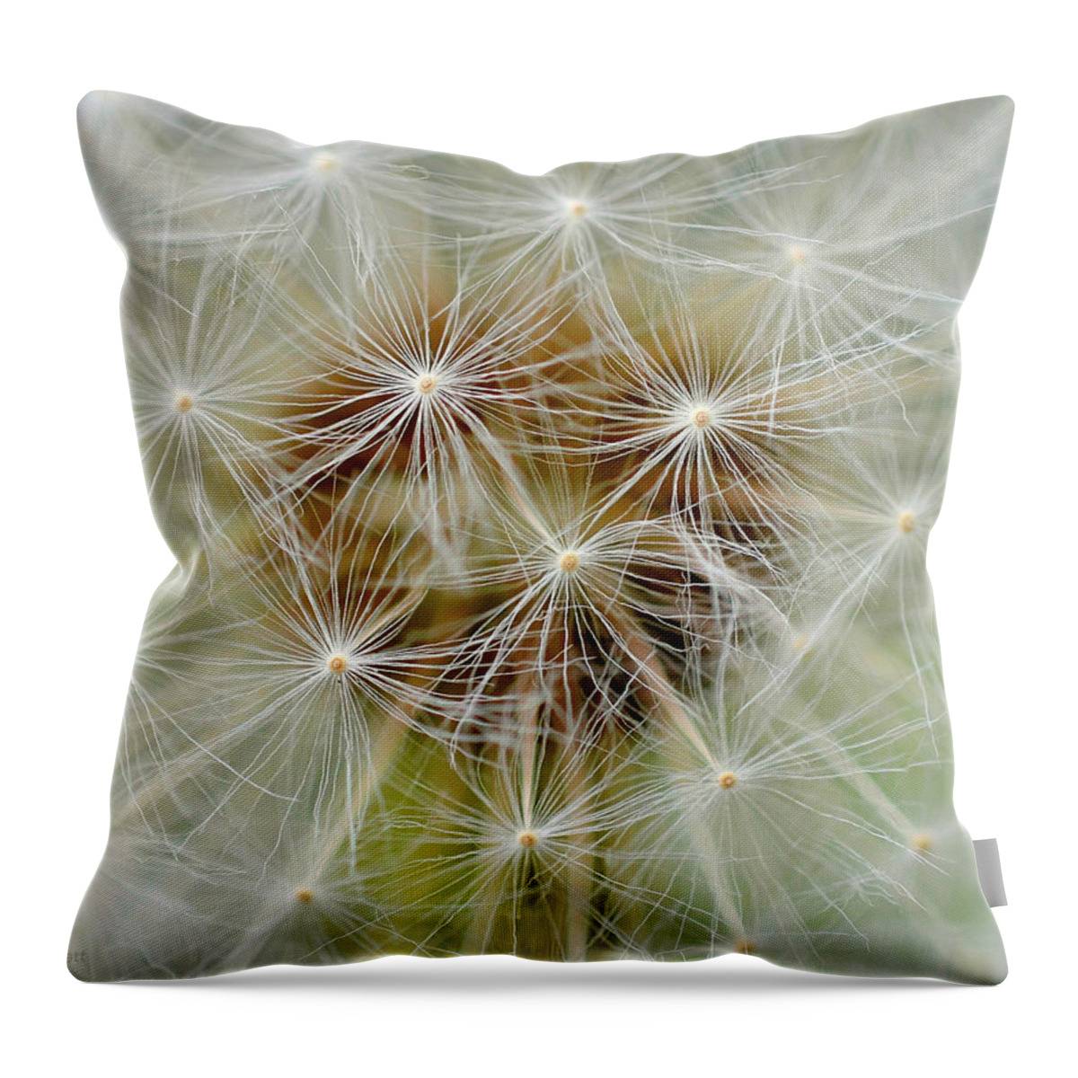Dandelion Throw Pillow featuring the photograph Dandelion Matrix by Andrea Platt