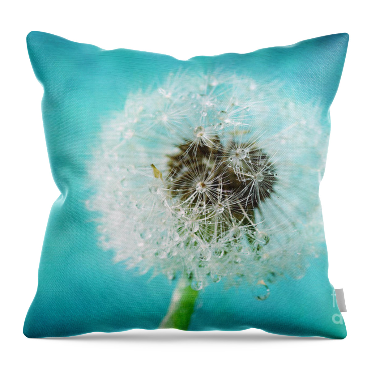Dandelion Throw Pillow featuring the photograph Dandelion one by Sylvia Cook