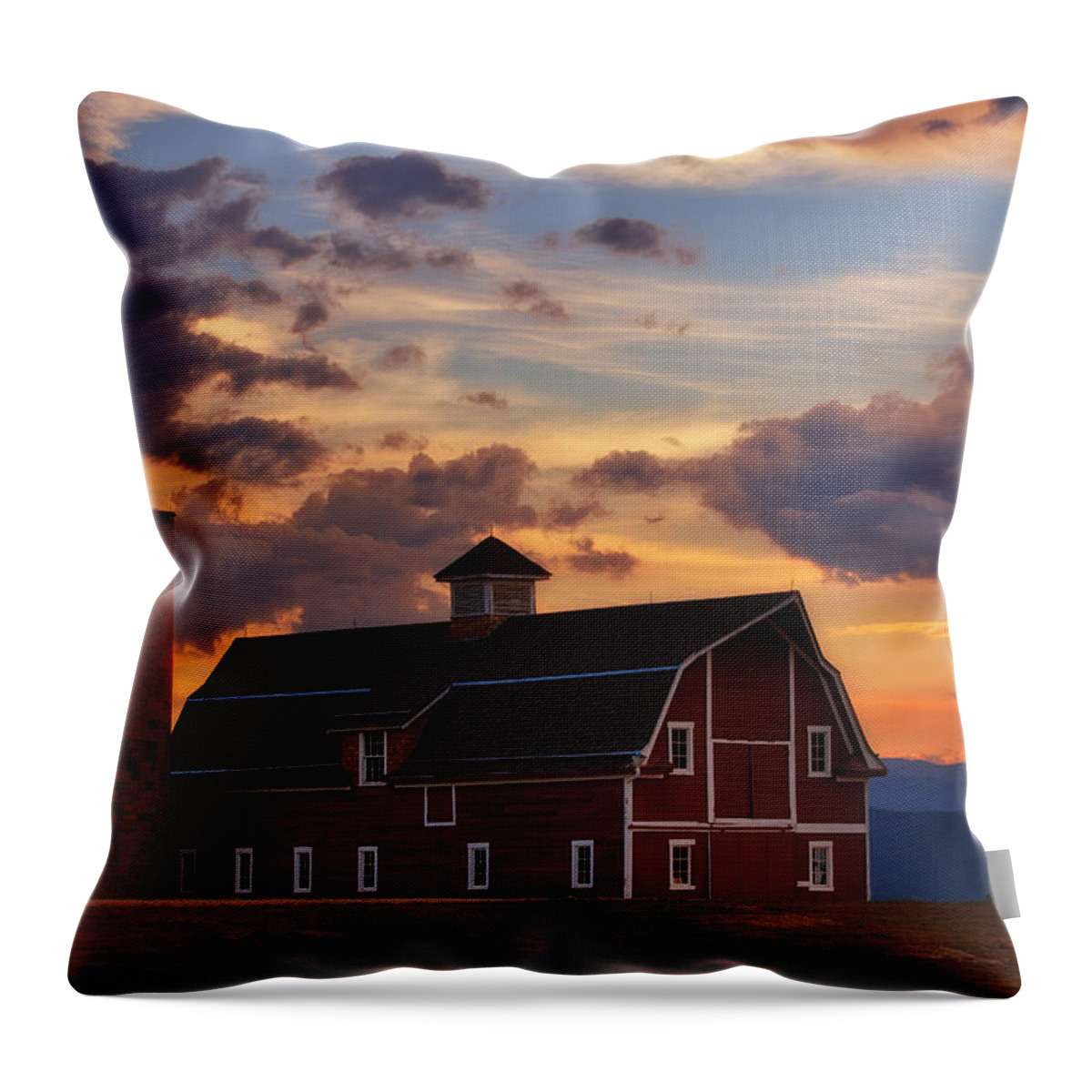 Barn Throw Pillow featuring the photograph Danny's Barn by Darren White