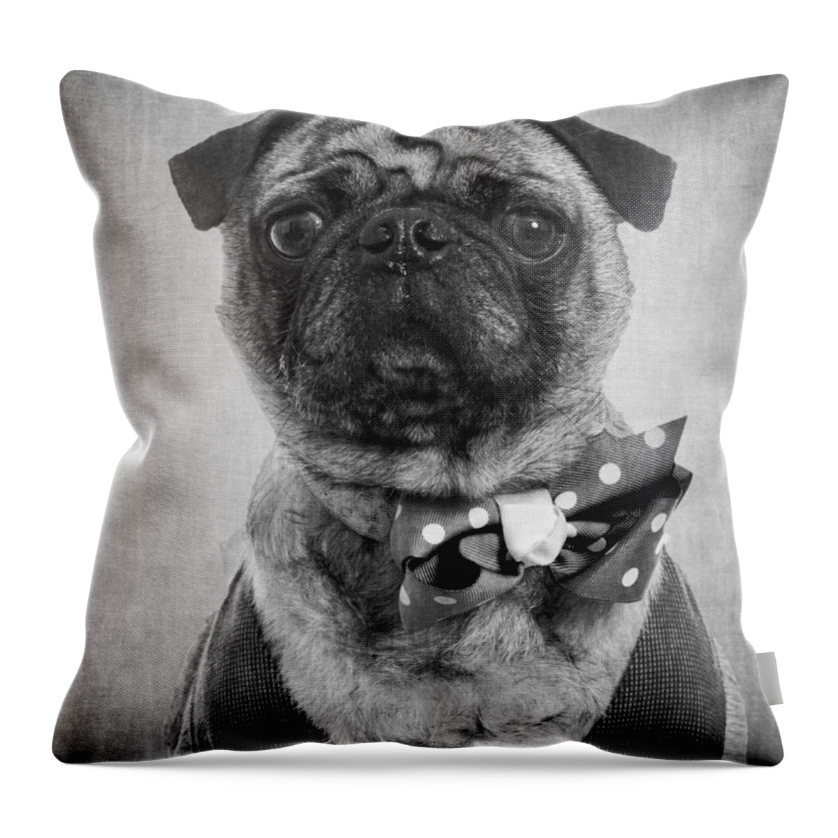 Dapper Throw Pillow featuring the photograph Dapper Dog by Edward Fielding