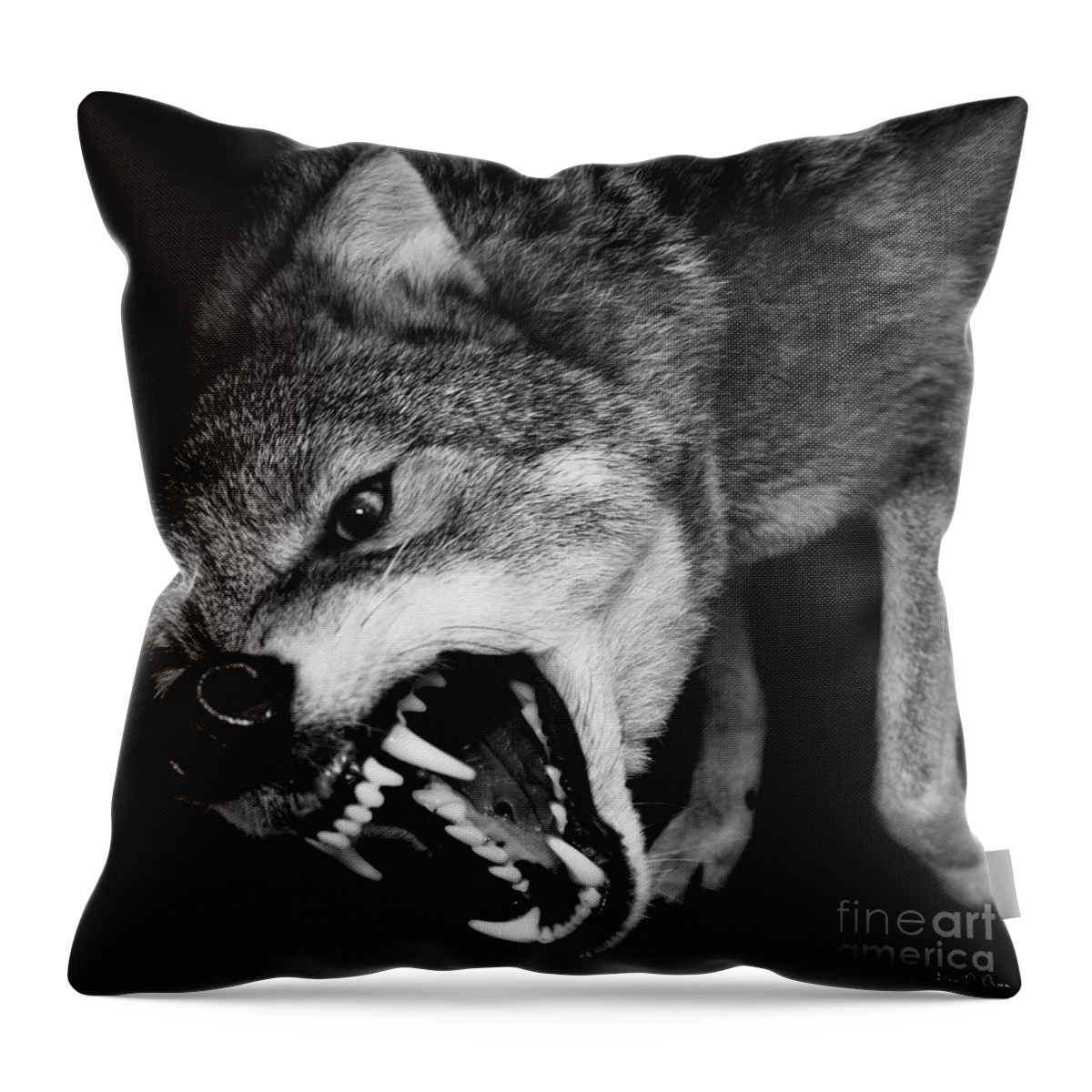 Coyote Throw Pillow featuring the photograph Dark Forest by Adam Olsen