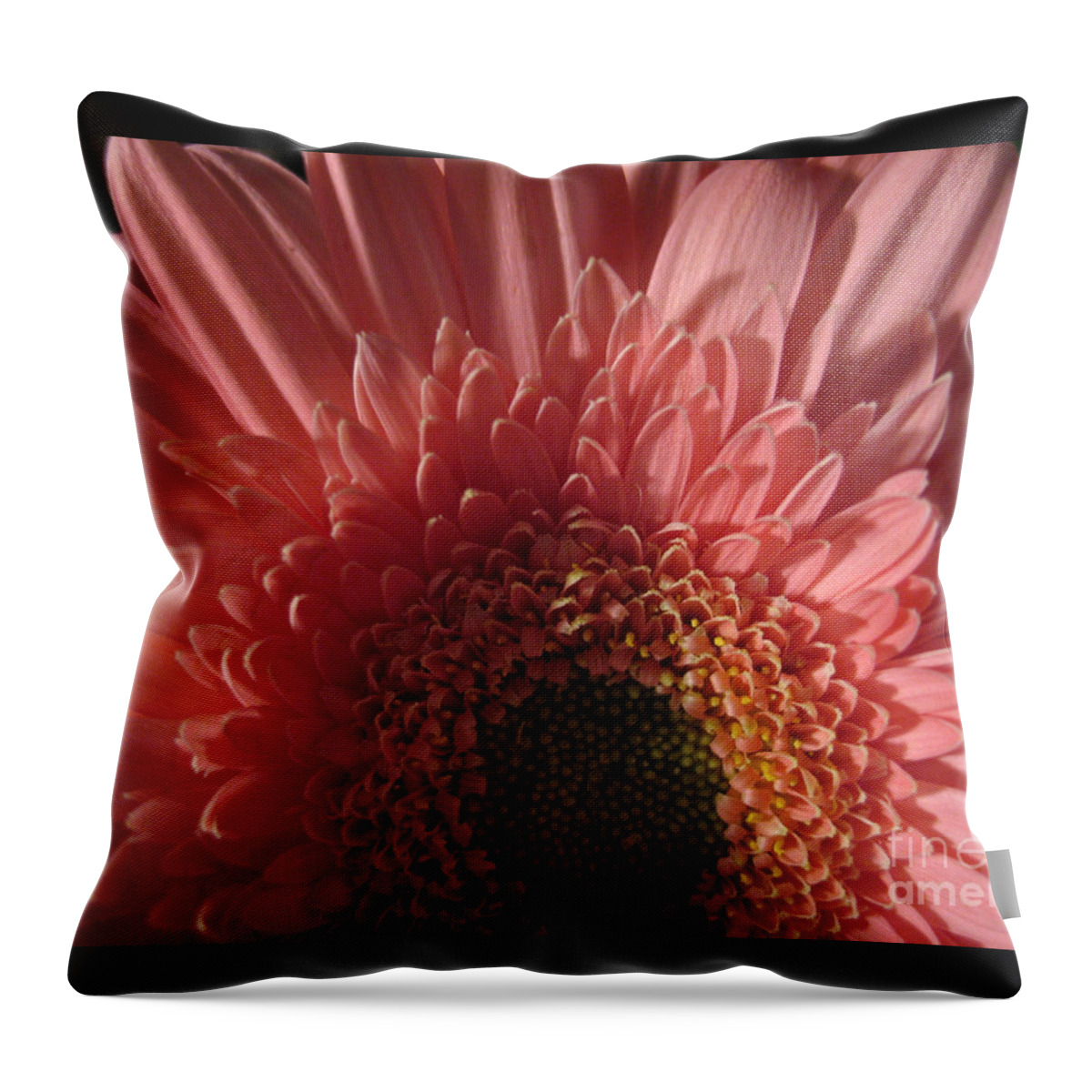 Flower Throw Pillow featuring the photograph Dark Radiance by Ann Horn