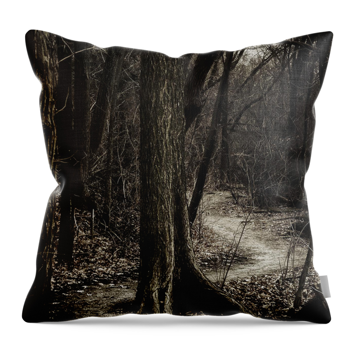 Path Throw Pillow featuring the photograph Dark Winding Path by Scott Norris
