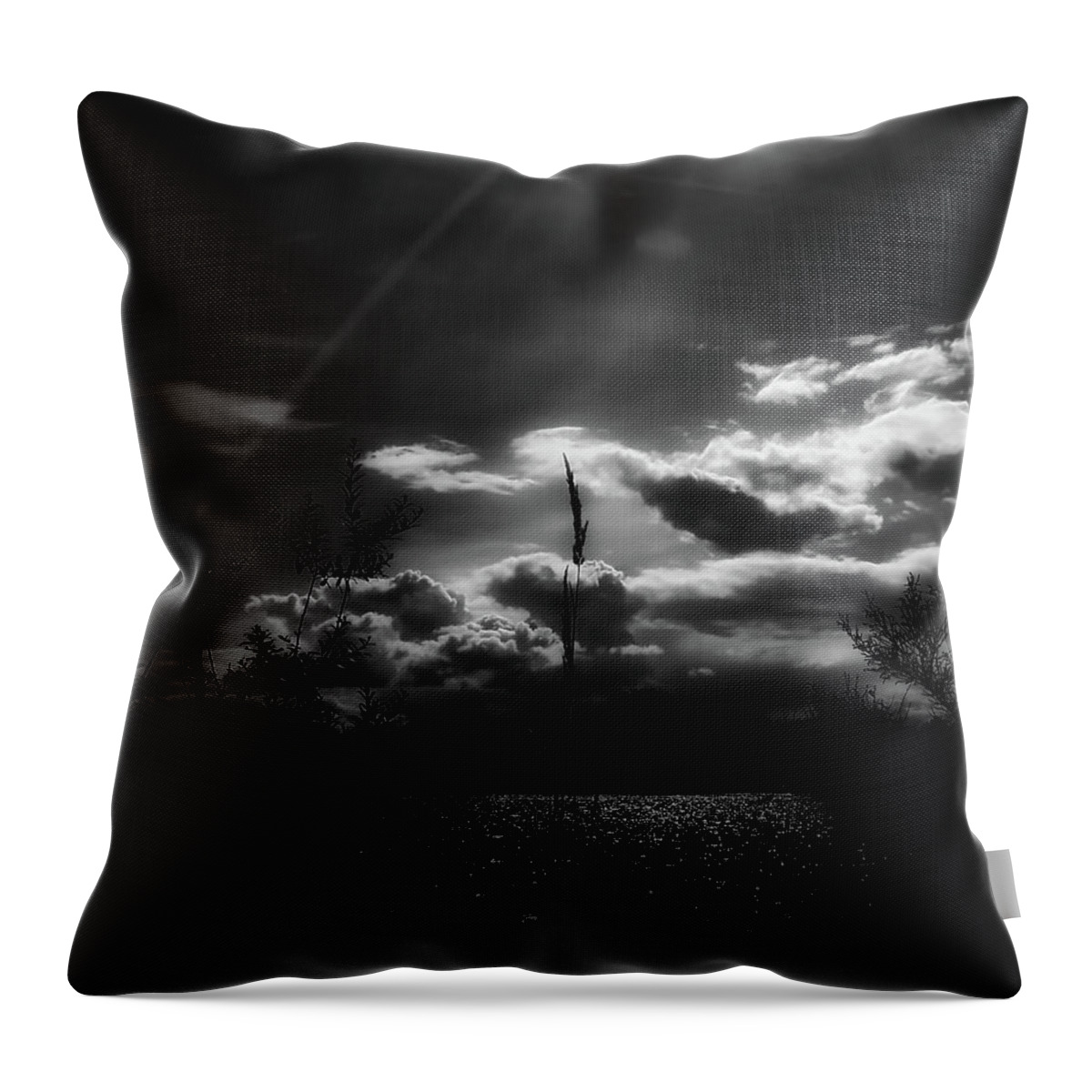 Morning Throw Pillow featuring the photograph Darkest Before The Dawn by Donna Blackhall