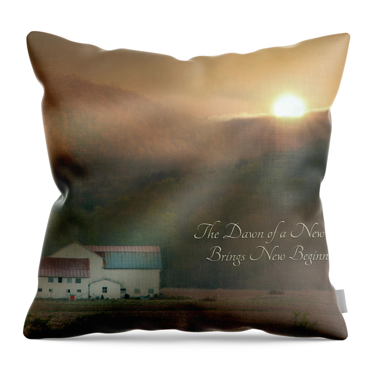 Barn Throw Pillow featuring the photograph Dawn by Lori Deiter