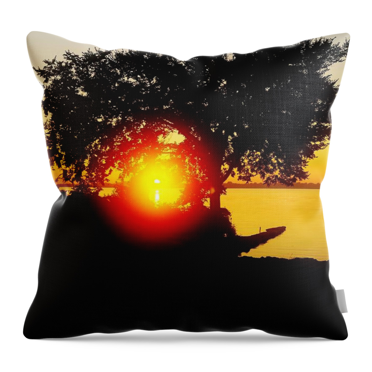 Sunrise Throw Pillow featuring the photograph Dawn tween The Trees by Daniel Thompson