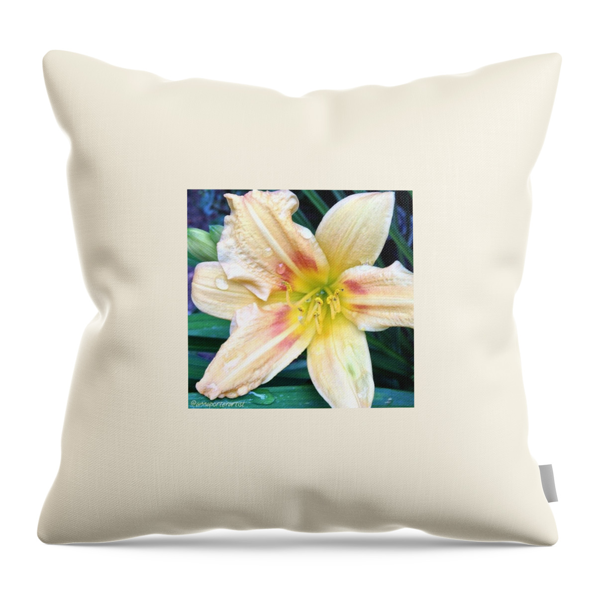 Annasgardens Throw Pillow featuring the photograph Day Lily With Raindrops In My Garden by Anna Porter