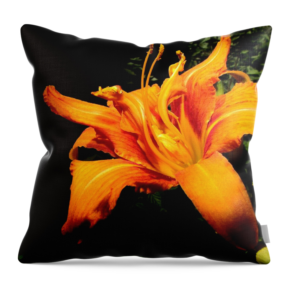 Daylily Throw Pillow featuring the photograph Daylily by Eric Noa
