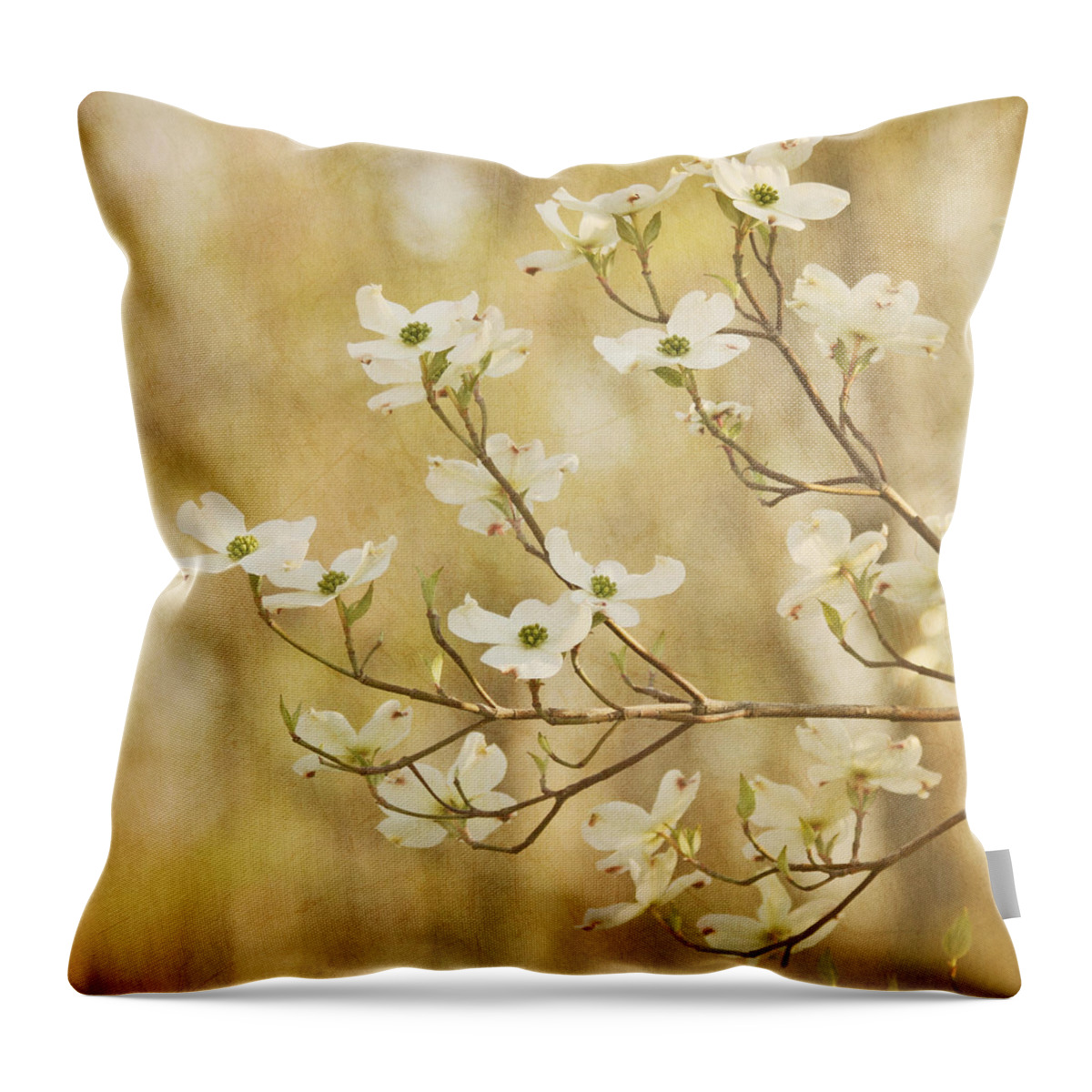 White Flower Throw Pillow featuring the photograph Days of Dogwoods by Kim Hojnacki