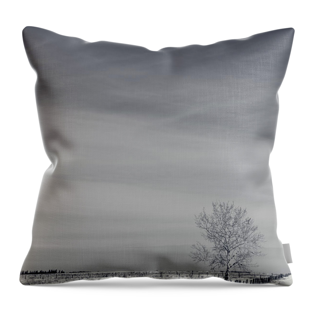 2015 Throw Pillow featuring the photograph Days Turn Into Months by Sandra Parlow