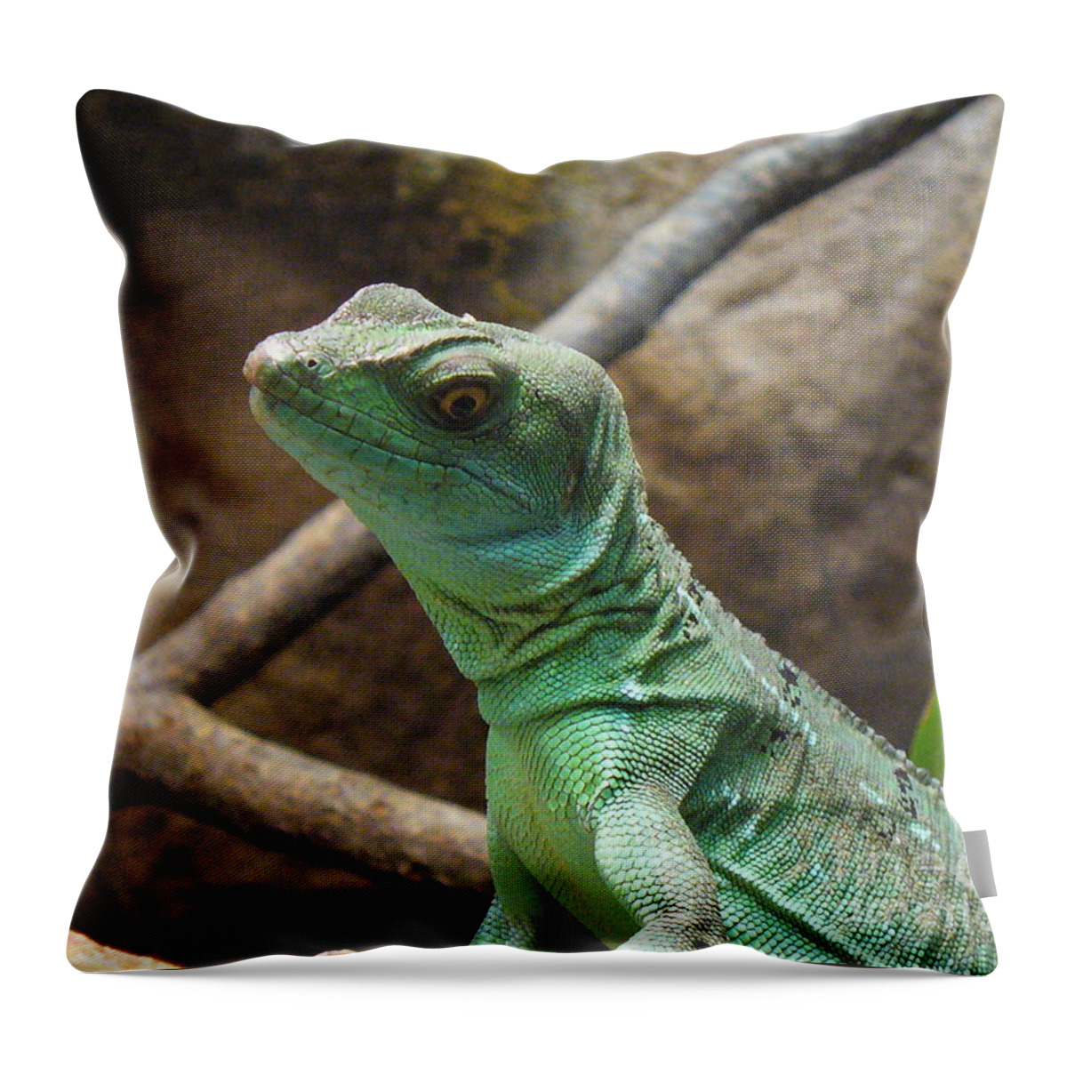 Reptile Throw Pillow featuring the photograph Dazed and Confused by Lingfai Leung