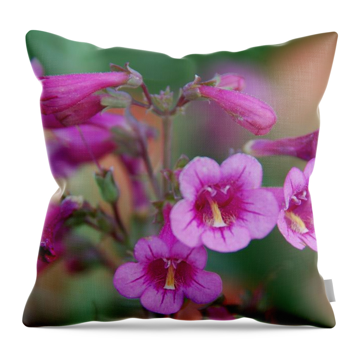 Flowers Throw Pillow featuring the photograph Pink Flowers by Tam Ryan