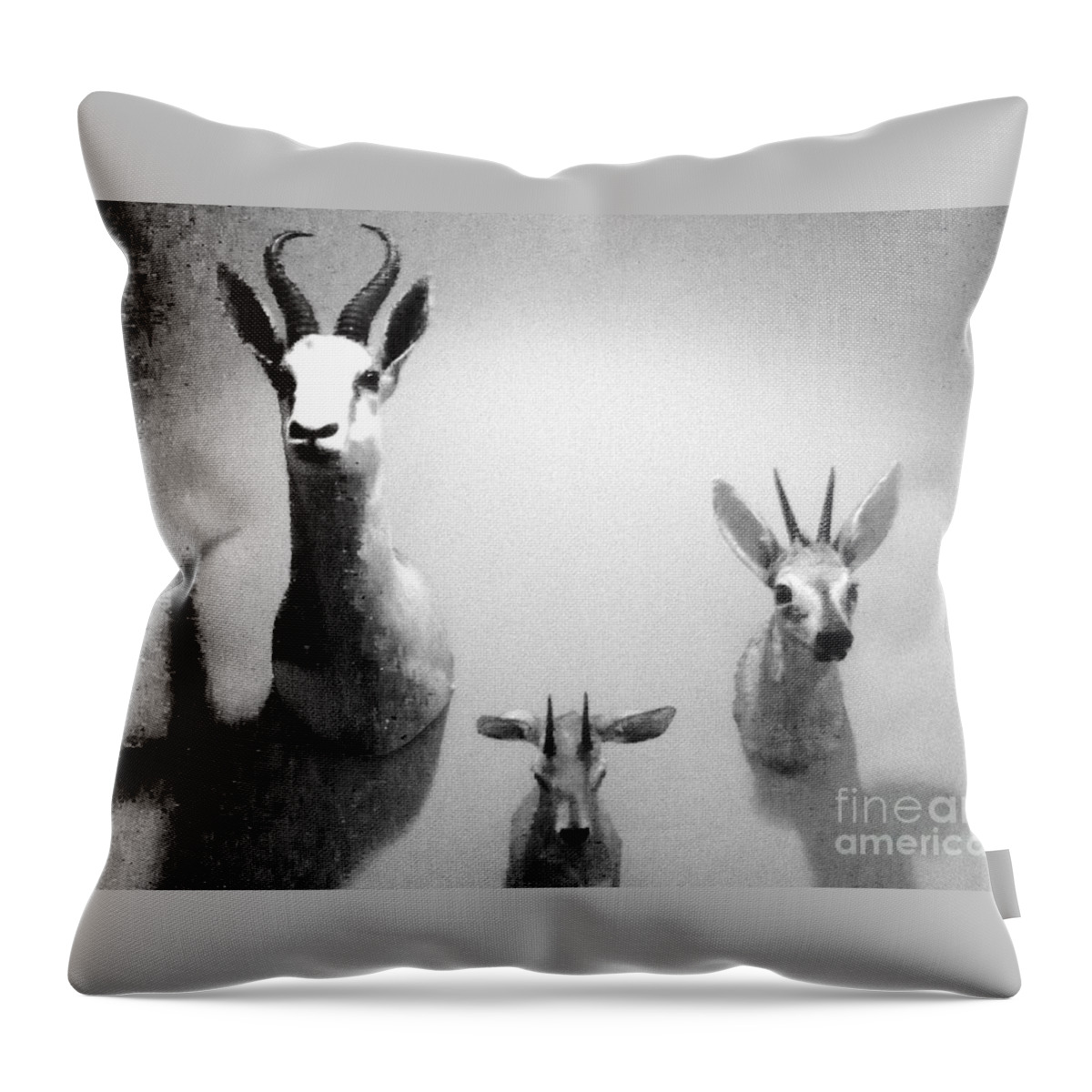 Hunting Throw Pillow featuring the photograph Dead animals..not trophies by WaLdEmAr BoRrErO