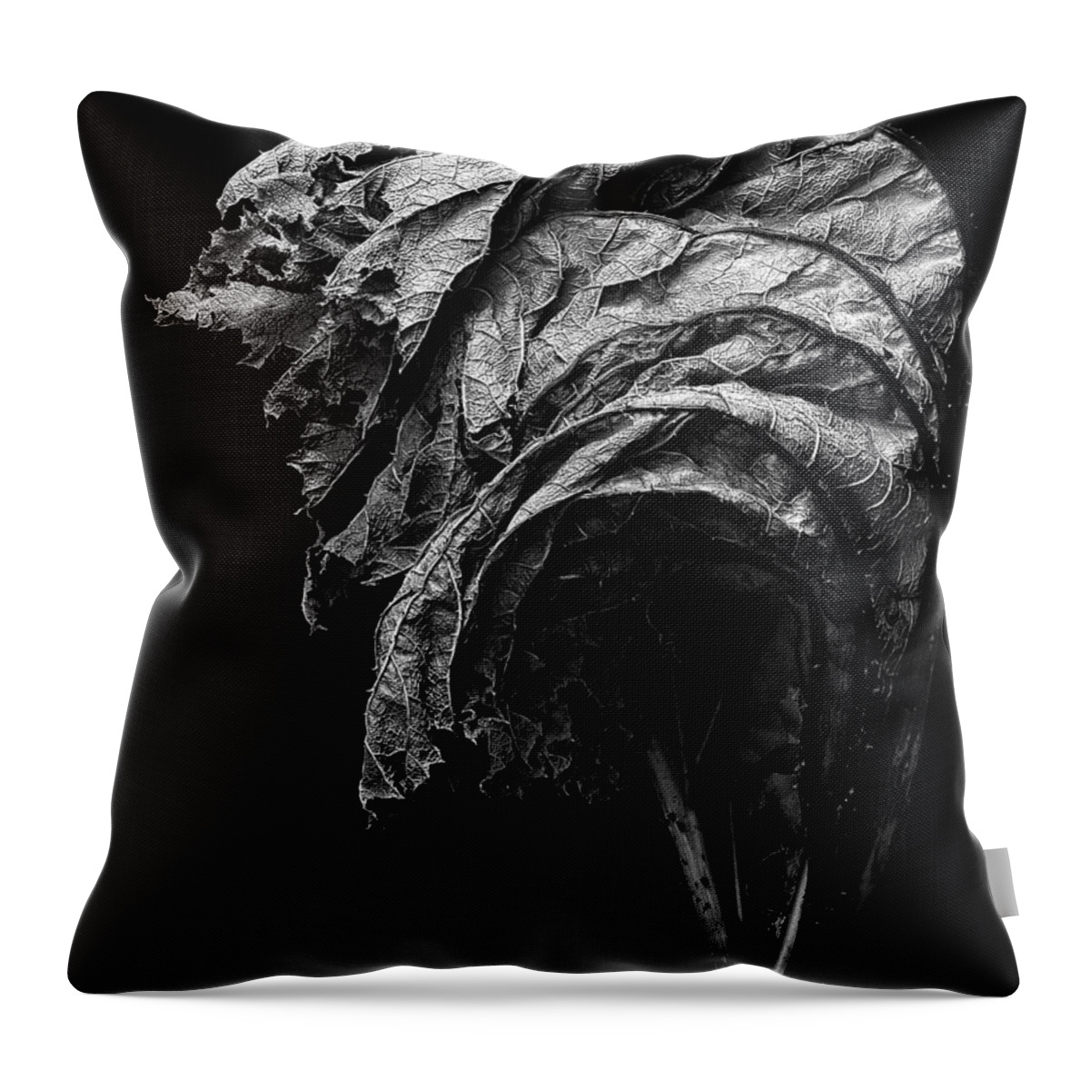 Dead Throw Pillow featuring the photograph Dead by Robert Woodward