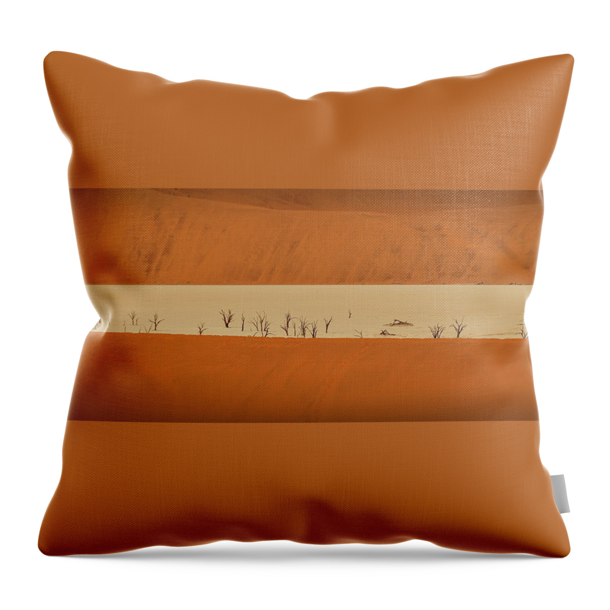 Tranquility Throw Pillow featuring the photograph Deadvlei 1. Namib-naukluft National Park by Jesús Gabán