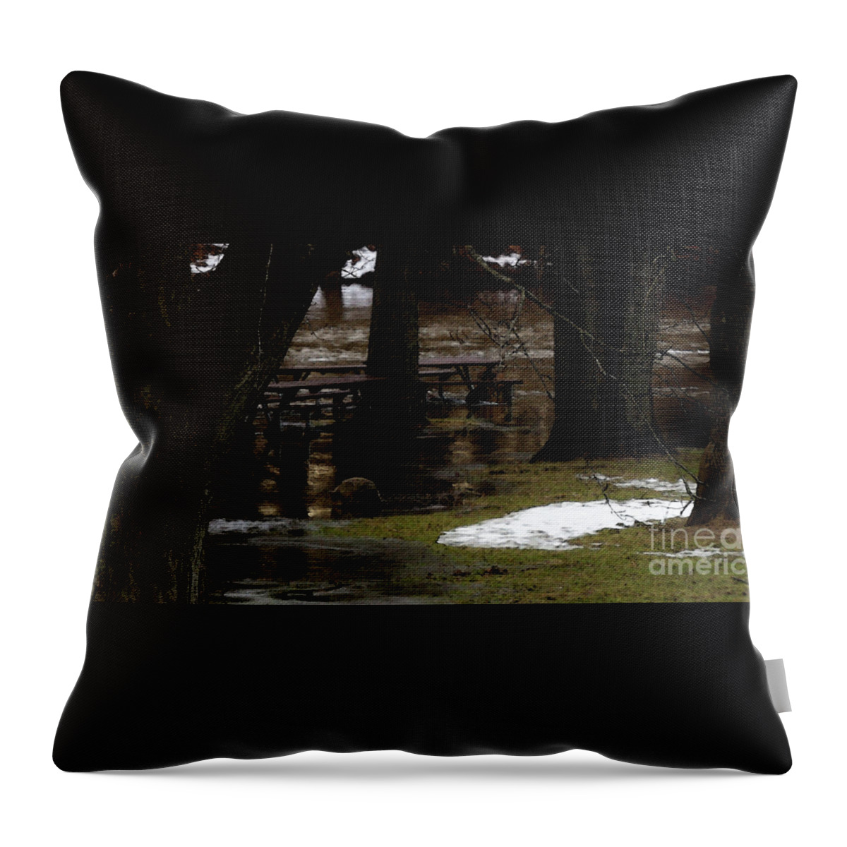 Woods Throw Pillow featuring the photograph Dear Silence by Linda Shafer