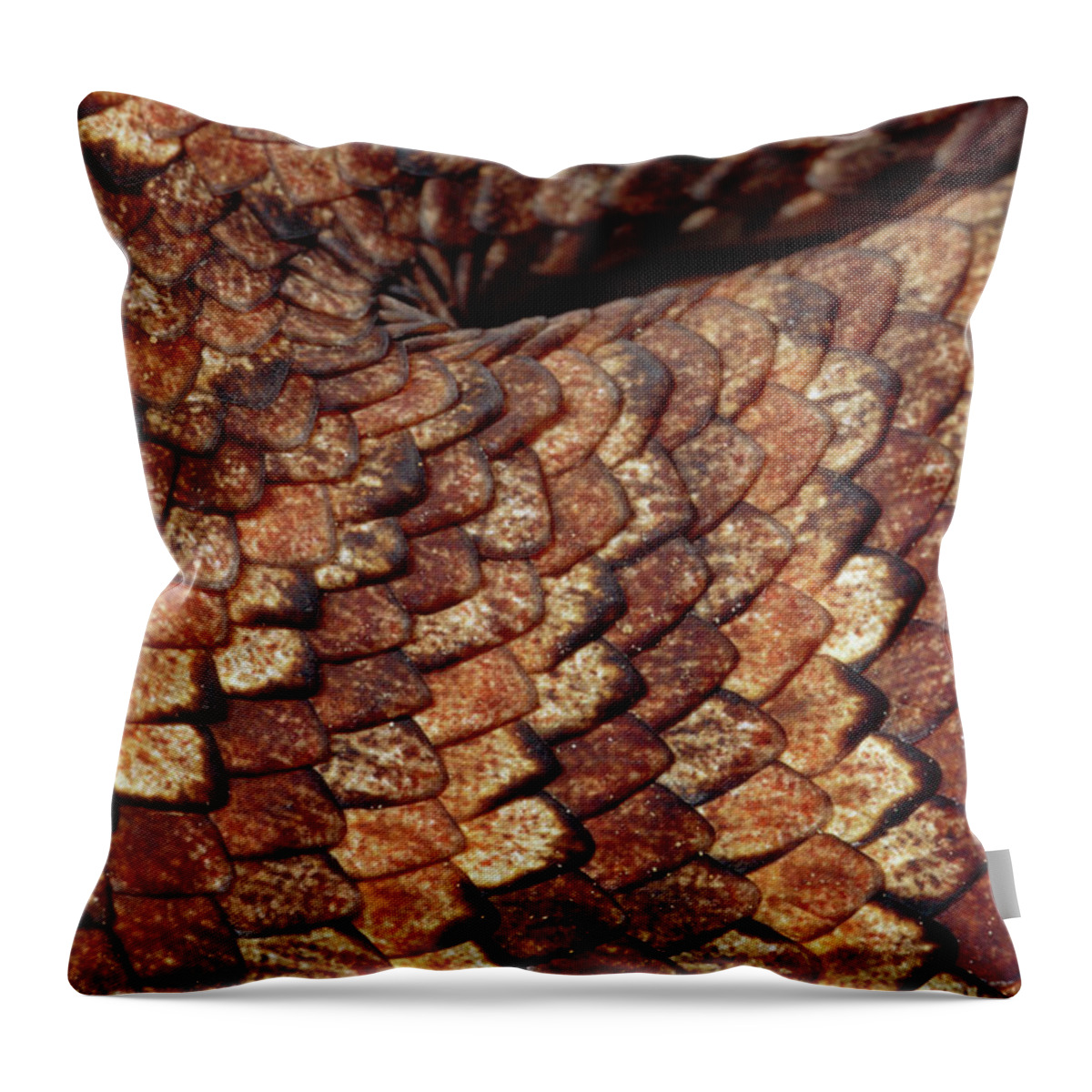 00511539 Throw Pillow featuring the photograph Death Adder Scales by Michael and Patricia Fogden