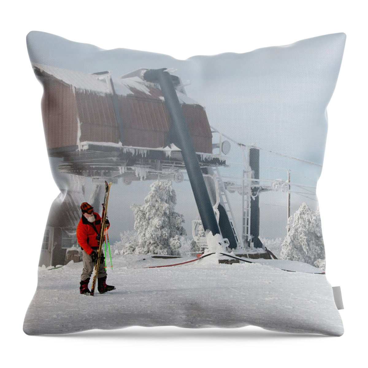 December 26th Throw Pillow featuring the photograph December 26th by Lois Bryan