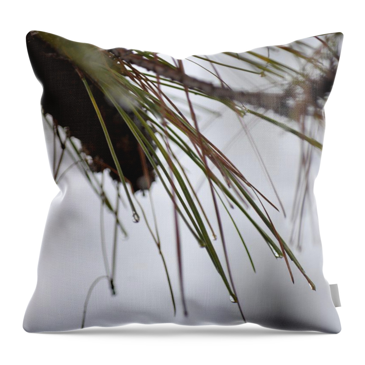 December's Raindrops Throw Pillow featuring the photograph December's Raindrops by Maria Urso