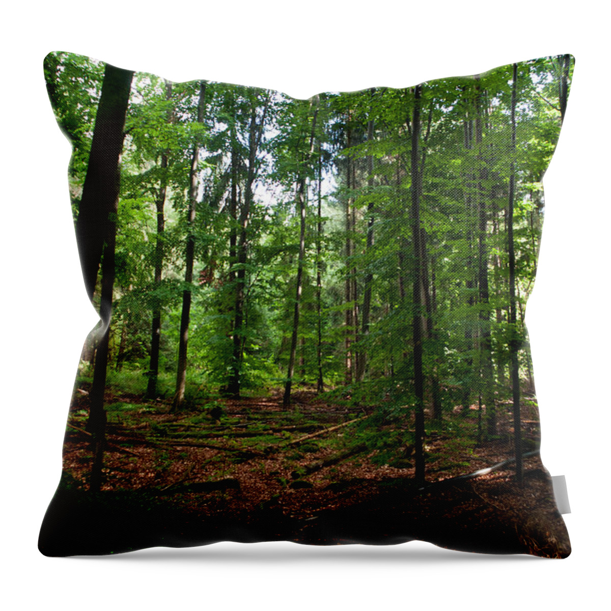 Miguel Throw Pillow featuring the photograph Deep Forest Trails by Miguel Winterpacht