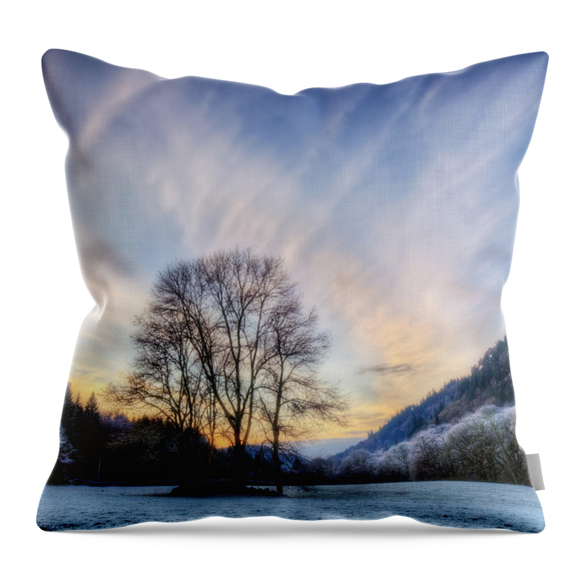 Winter Throw Pillow featuring the photograph Deep frost by B Cash