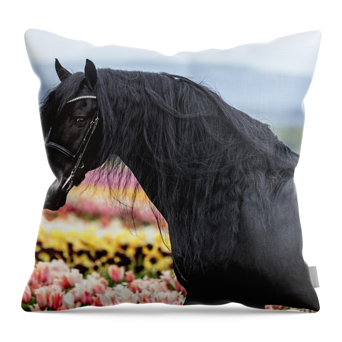 Deep In The Fields Throw Pillow featuring the photograph Deep In The Fields by Wes and Dotty Weber