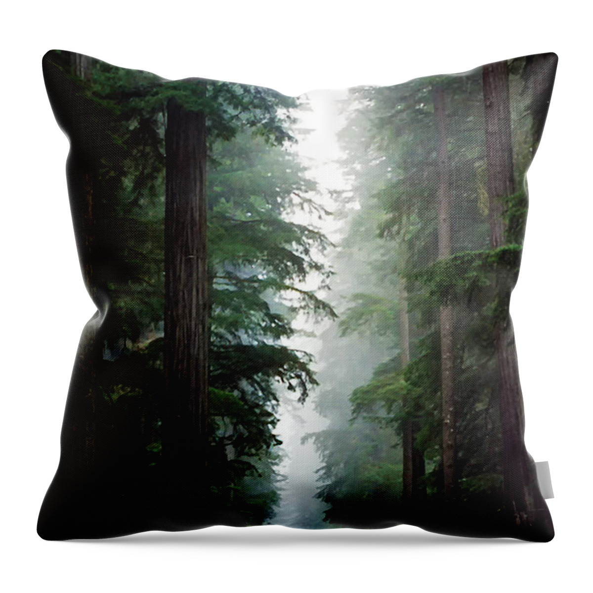 Forest Throw Pillow featuring the photograph Deep in the Forest by Debby Richards