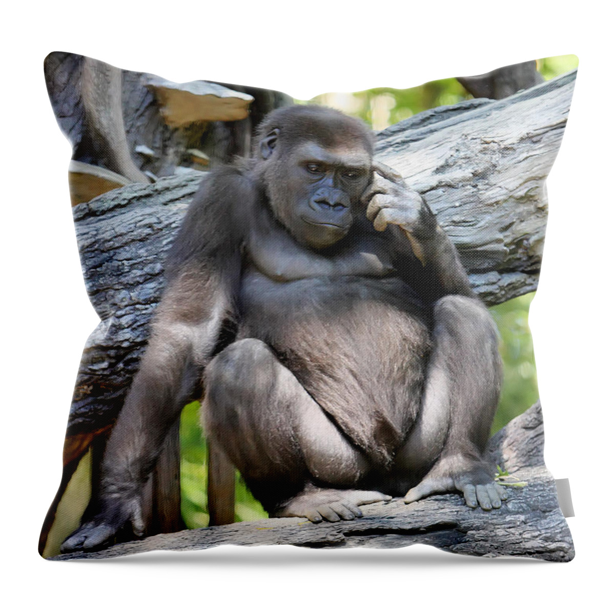 Gorilla Throw Pillow featuring the photograph Deep in thought by Rick Kuperberg Sr