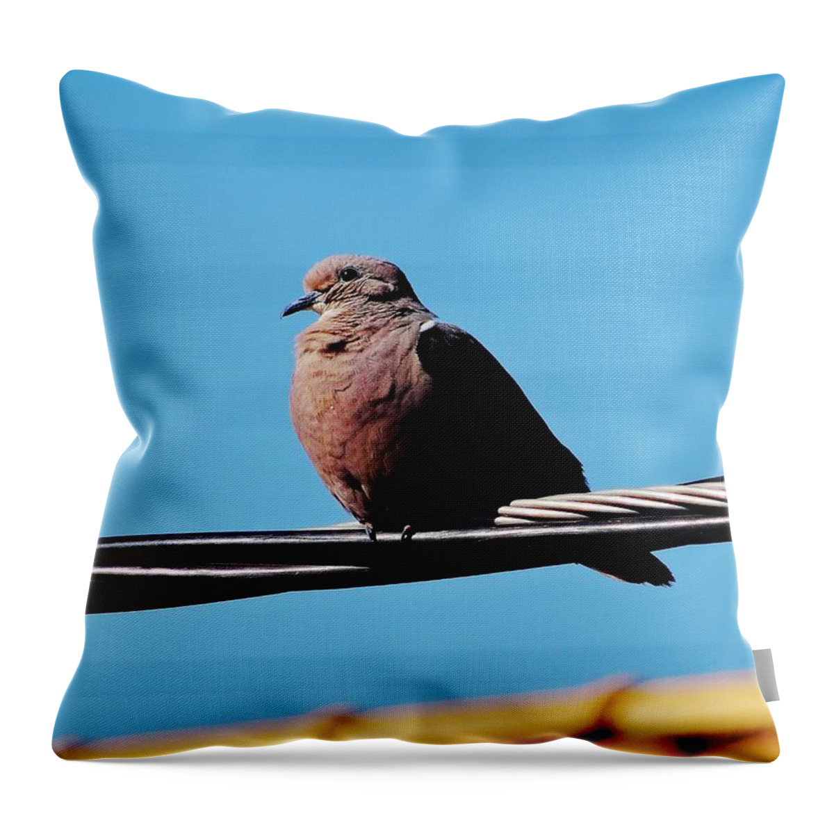 Bird Throw Pillow featuring the photograph Deep in Thoughts by Zinvolle Art