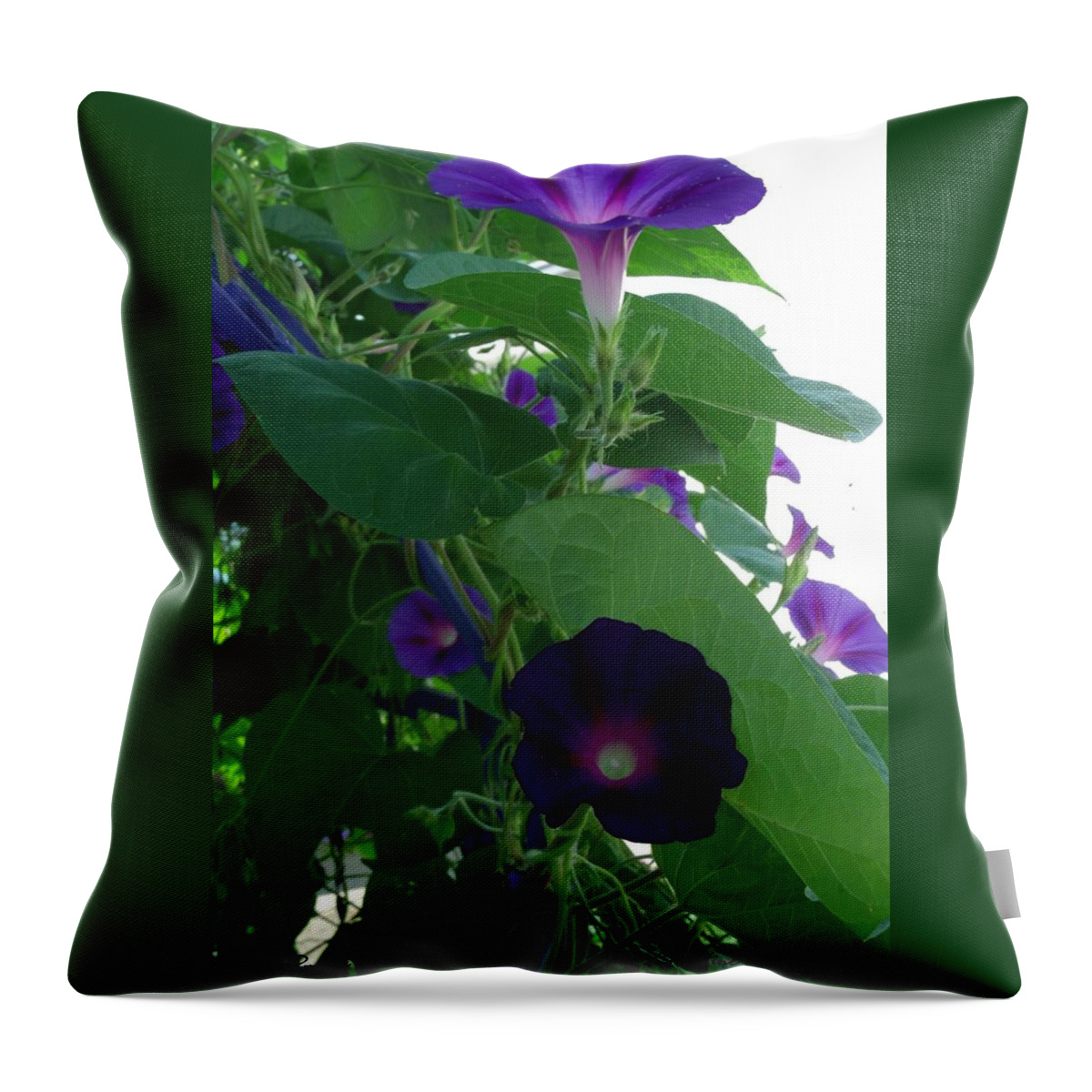 Deep Purple Morning Throw Pillow featuring the photograph Deep Purple Morning by Christine Nichols