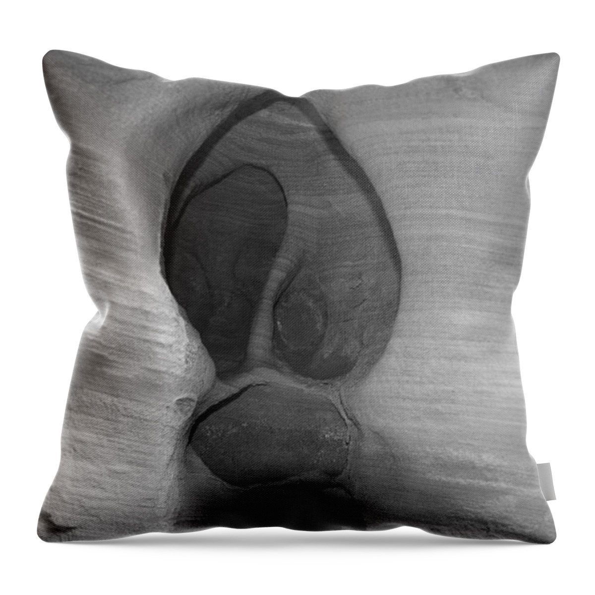 Elements Throw Pillow featuring the photograph Rock Design by Aidan Moran