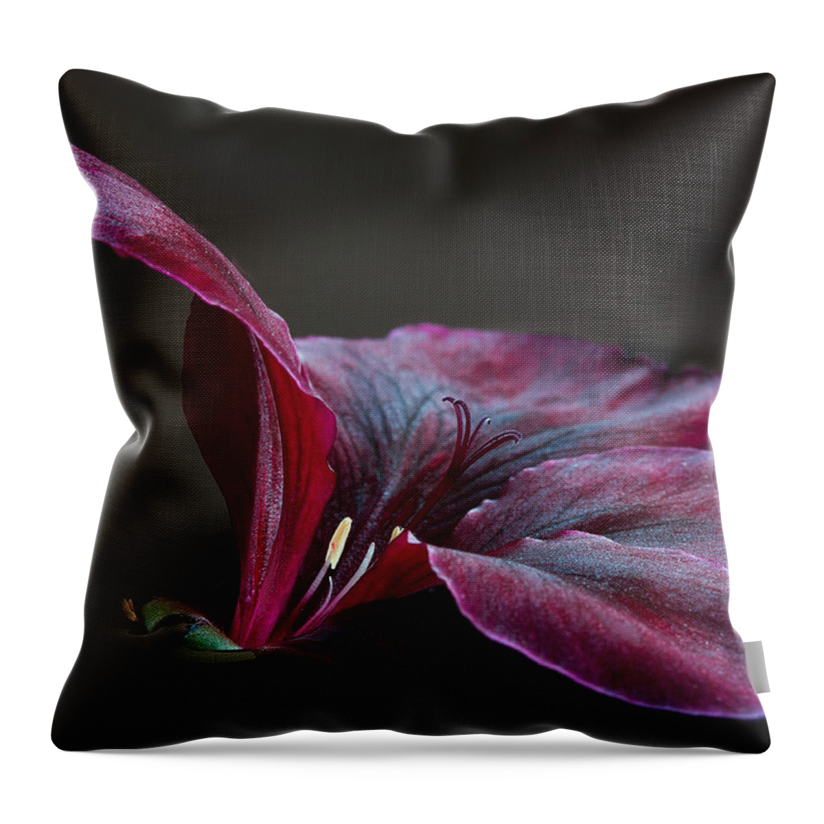 Pelargonium Throw Pillow featuring the photograph Deep Velvet by Shirley Mitchell