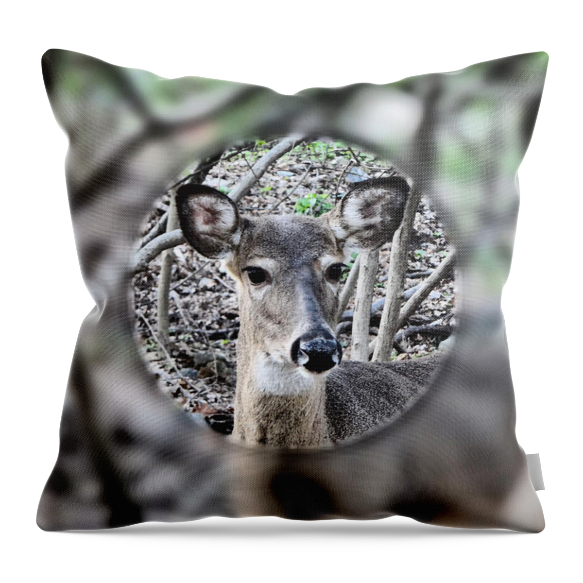 Deer Throw Pillow featuring the photograph Deer Hunter's View by Russel Considine