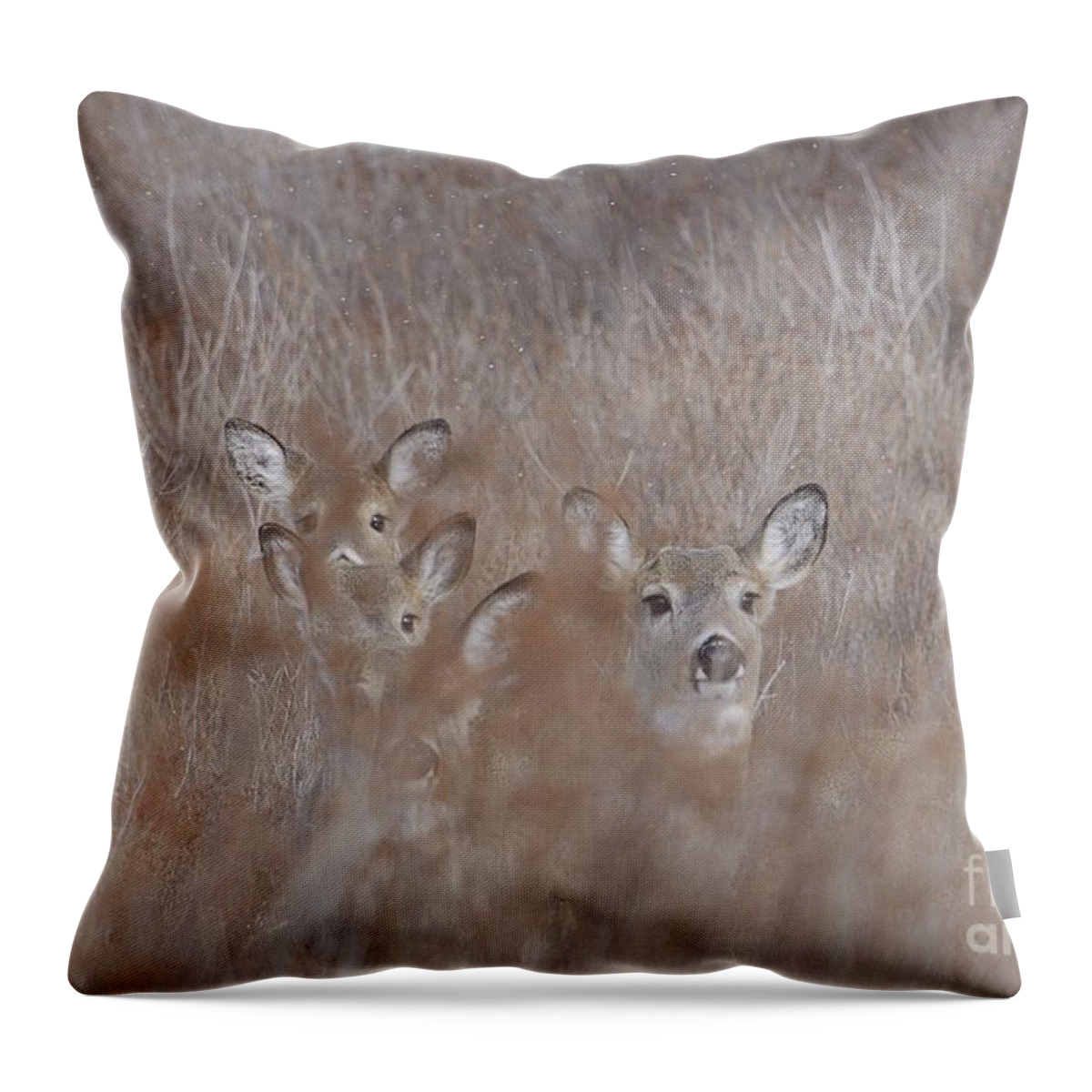 Winter Deer Throw Pillow featuring the photograph Deer Soft by Randy Bodkins