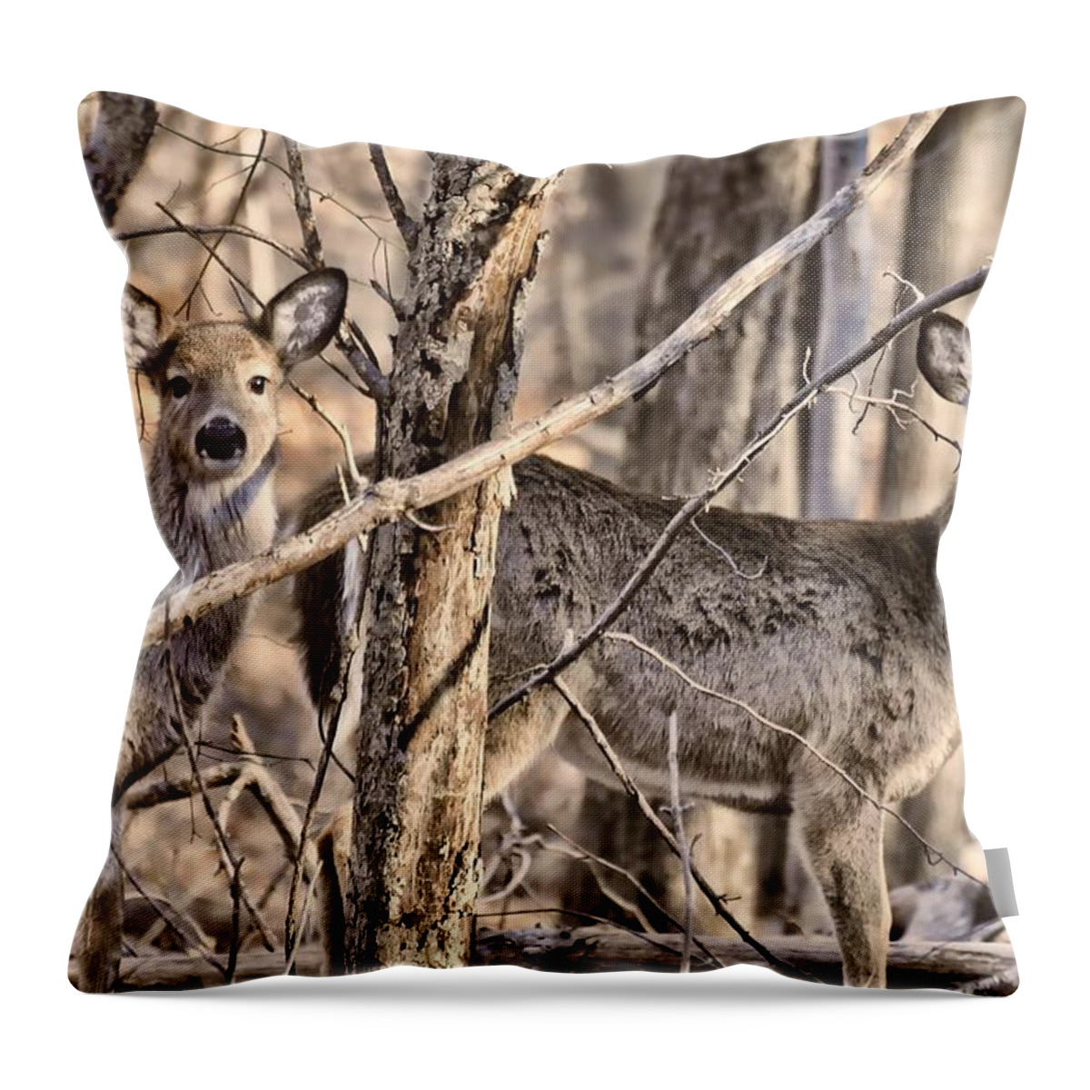 Animals Throw Pillow featuring the photograph Deerlings by Diana Angstadt
