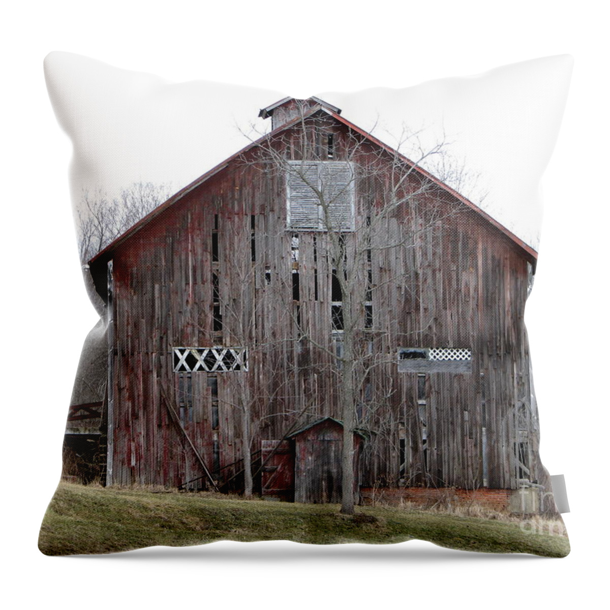 Barn Throw Pillow featuring the photograph Defunct Barn by Michael Krek