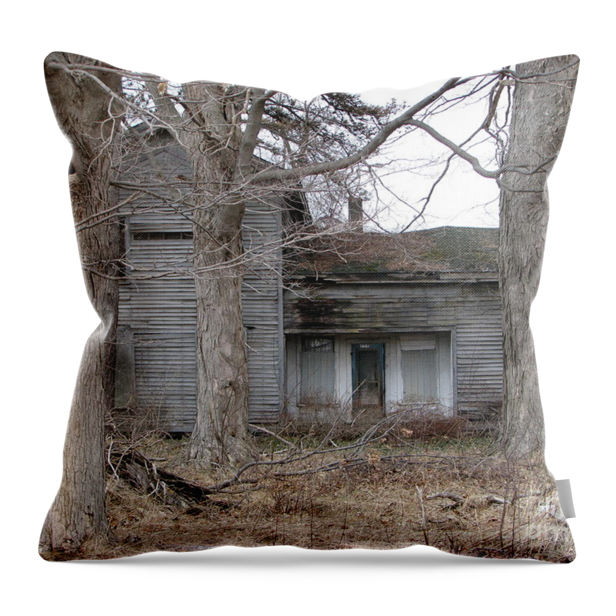 Defunct House Throw Pillow featuring the photograph Defunct House by Michael Krek