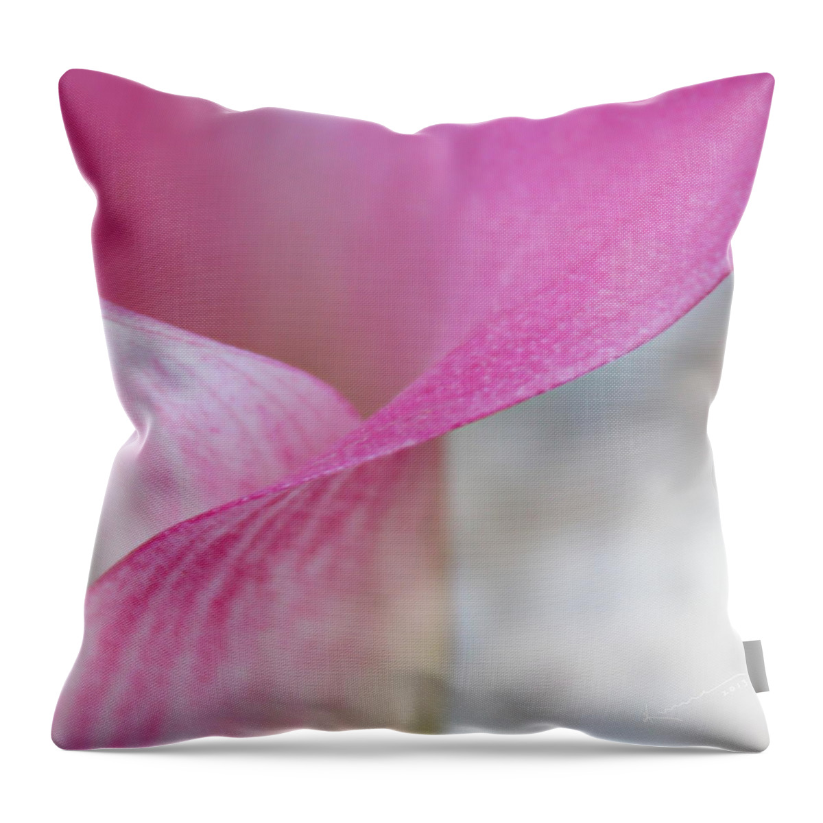 Delicate Lily Throw Pillow featuring the photograph Delicate Curves by Kume Bryant