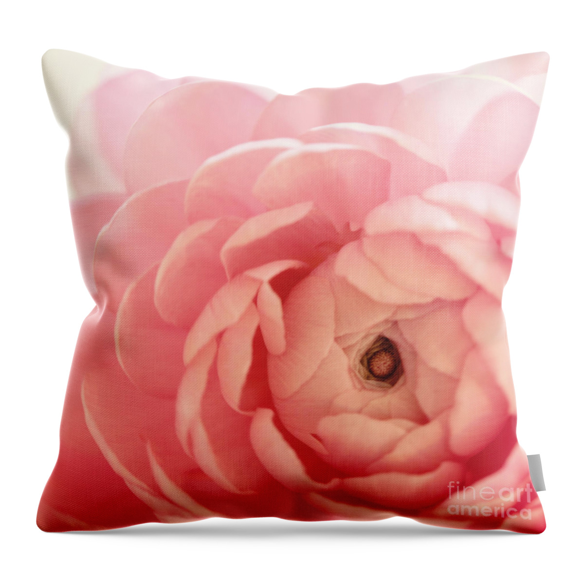 Ranunculus Throw Pillow featuring the photograph Delicate by Kim Fearheiley