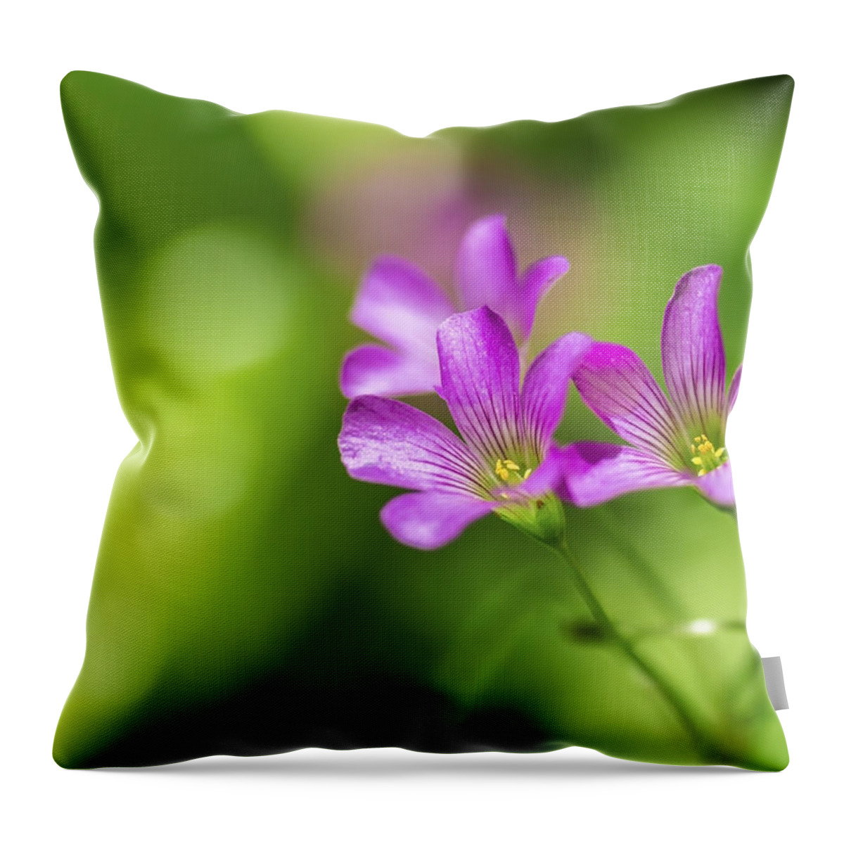 Hawaii Throw Pillow featuring the photograph Delicate Purple Wildflowers by Leigh Anne Meeks