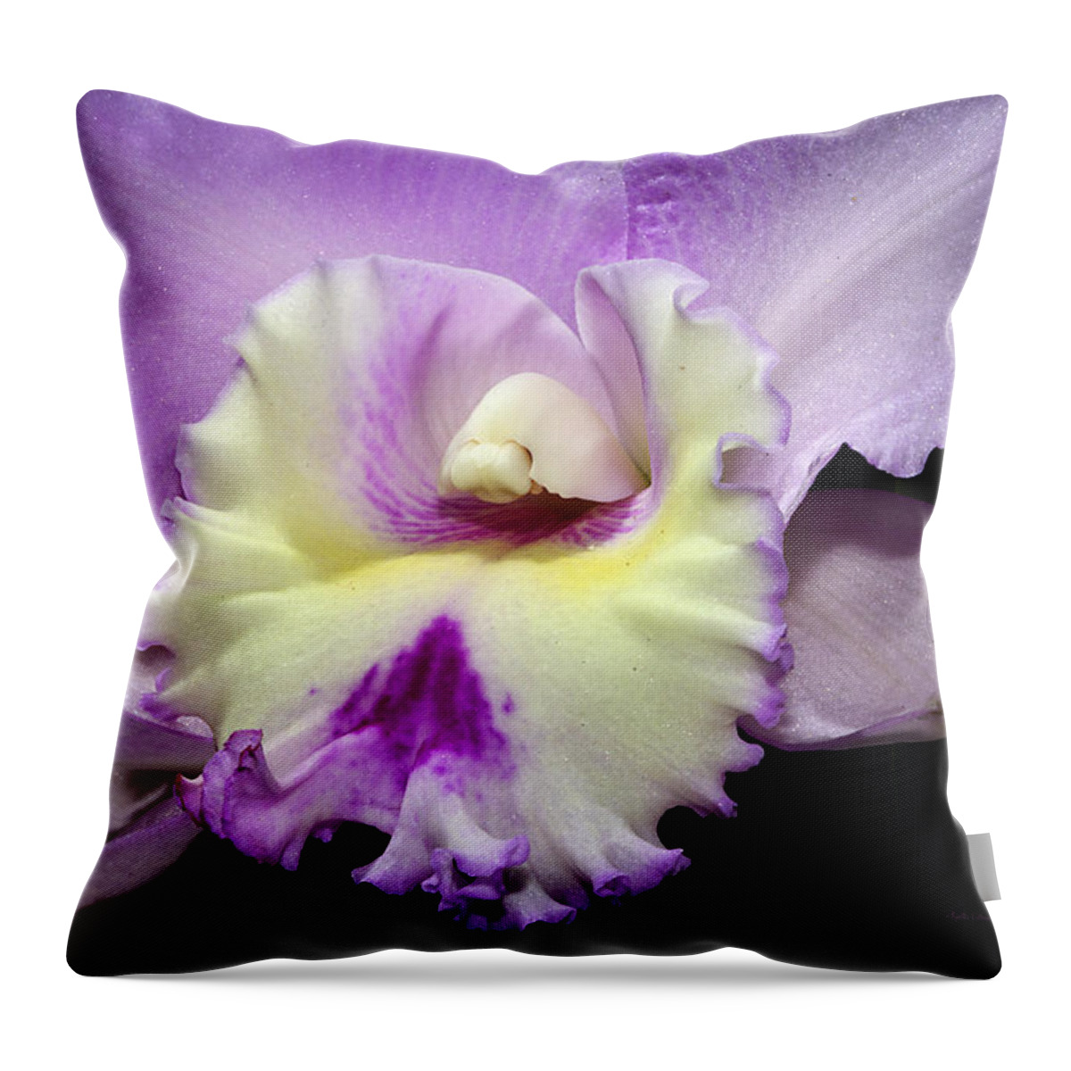 Orchid Throw Pillow featuring the photograph Delicate Violet Orchid by Phyllis Denton