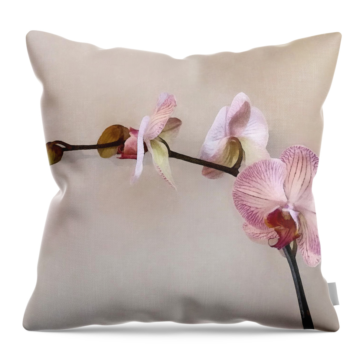 Phalaenopsis Throw Pillow featuring the photograph Delicate Pink Phalaenopsis Orchids by Susan Savad