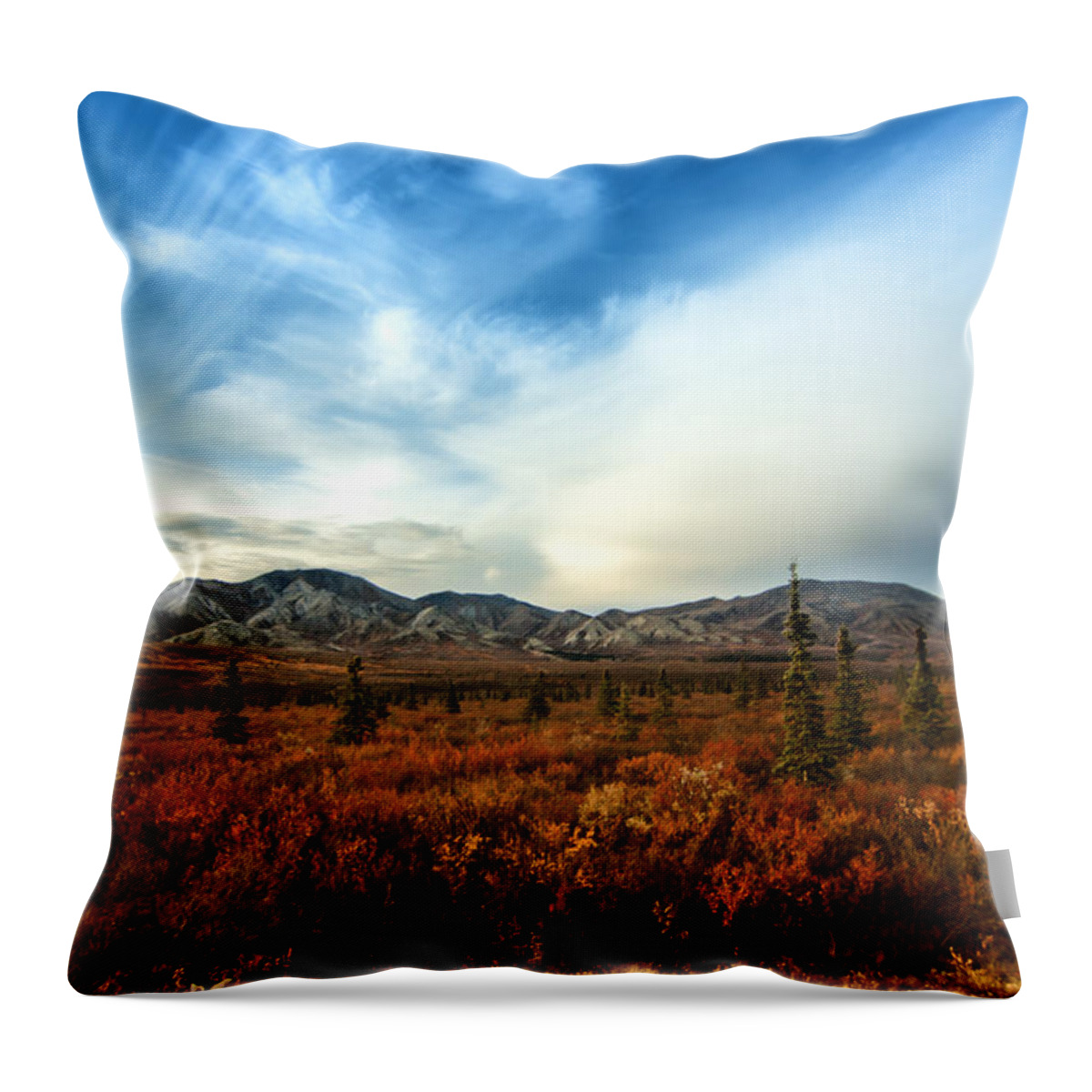 Denali Throw Pillow featuring the photograph Denali National Park by Lauri Novak