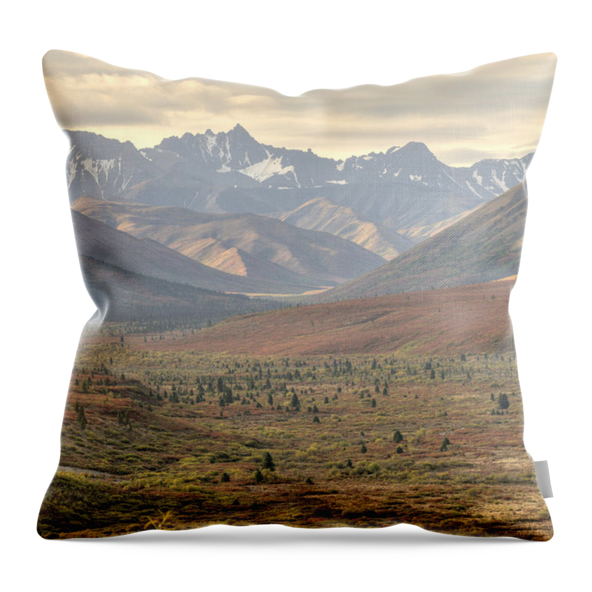 Mountains Throw Pillow featuring the photograph Denali Park Landscape 1 by David Drew