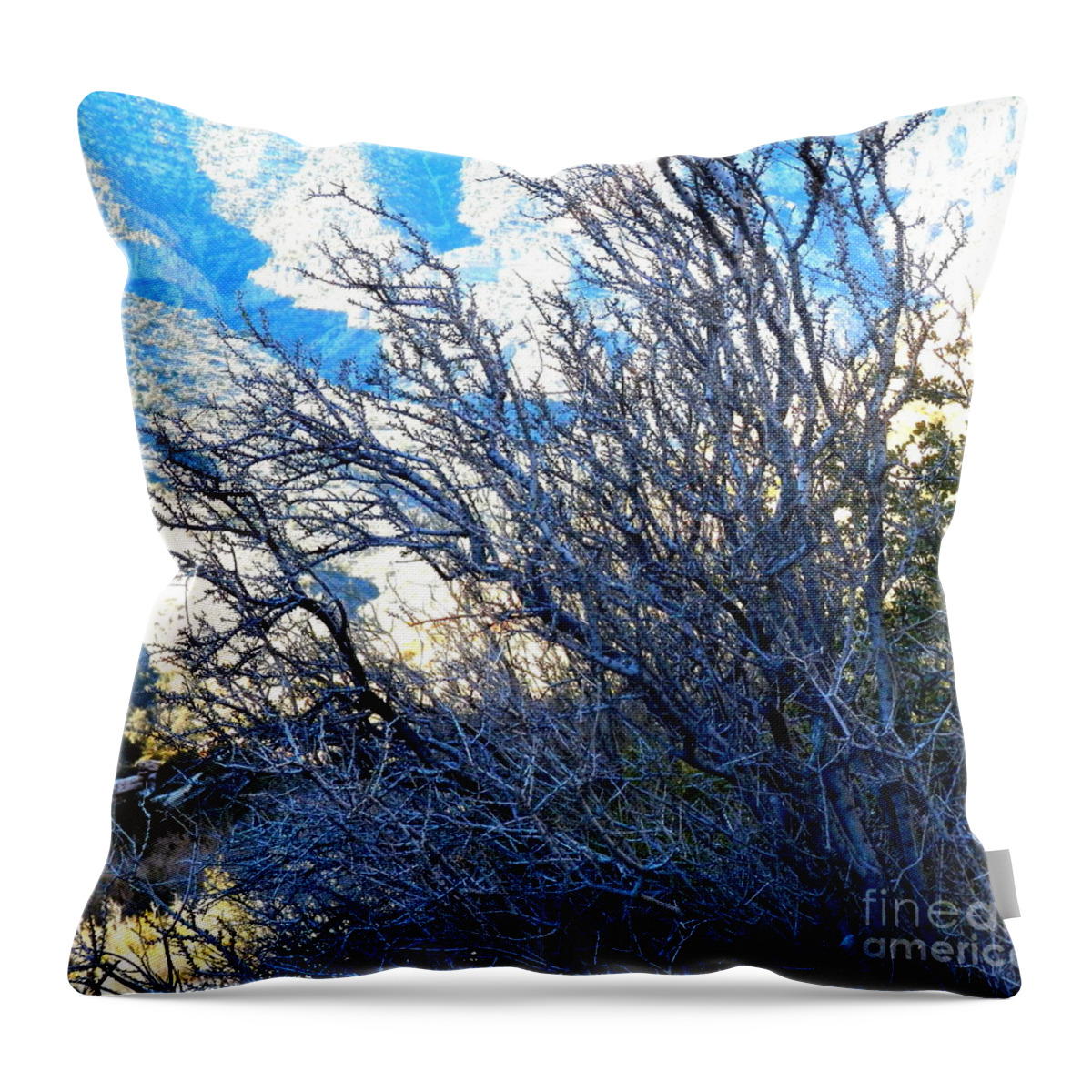 Desert November Tree Throw Pillow featuring the photograph Desert blue tree by Barbara Leigh Art